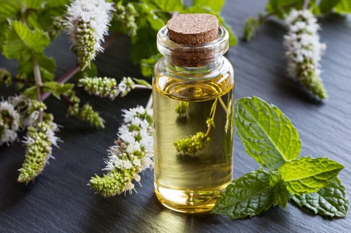 Peppermint oil before being used to repel spiders