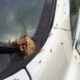 Ants crawling into a car