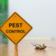 A pest insect next to a sign for pest control tips