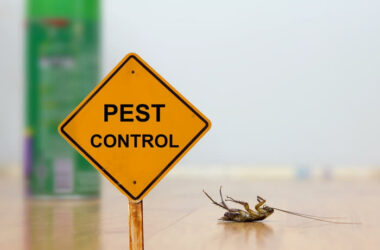 A pest insect next to a sign for pest control tips