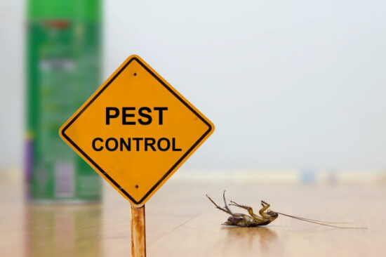 A pest insect next to a sign for pest control tips