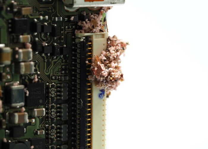 A large number of ants inside an electronic appliance