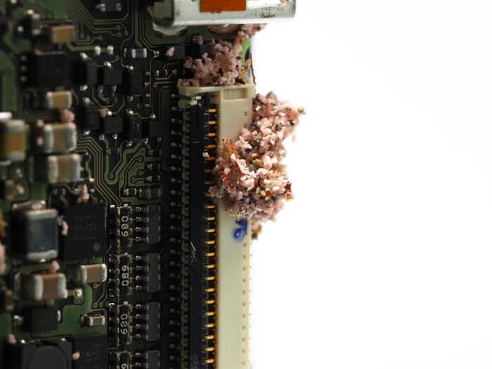 How To Get Ants Out Of Electronics (Without The Hassle)