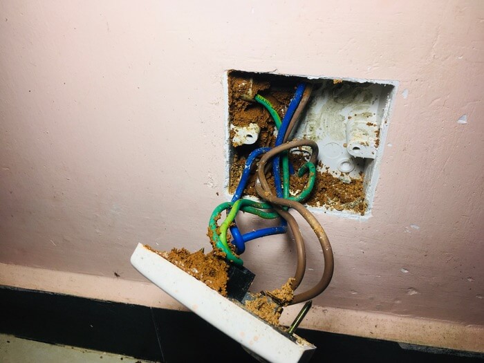 https://www.bcpestcontrol.com/wp-content/uploads/2021/07/ants-coming-out-of-electrical-outlet.jpg