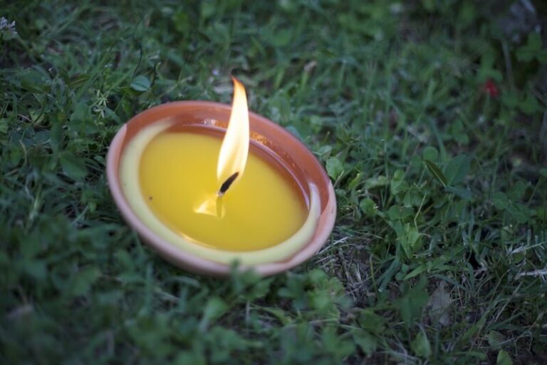 Does Citronella Repel Flies? The Simple Answer