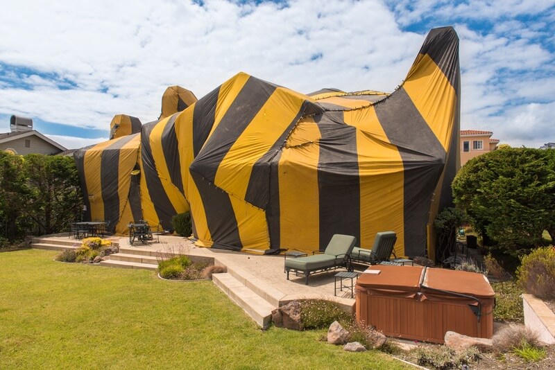 A house going through the termite tenting process