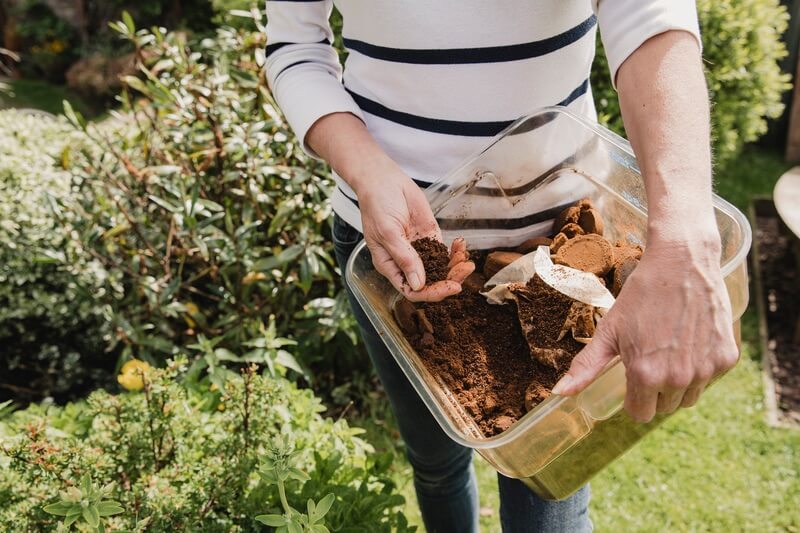 A woman keeping ants away with coffee grounds