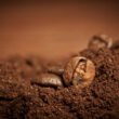 Coffee grounds that can be used to repel voles