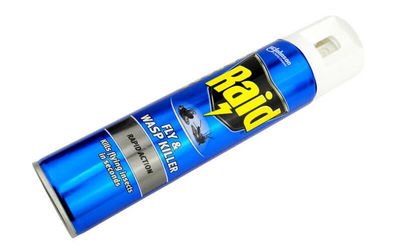 Raid wasp spray that can be used to kill spiders