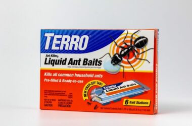 Terro ant bait that's safe for pets