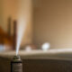 Bed bug spray that can be used to kill cockroaches