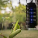 A bug zapper working during the daytime