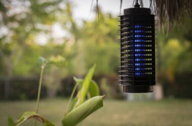 A bug zapper working during the daytime