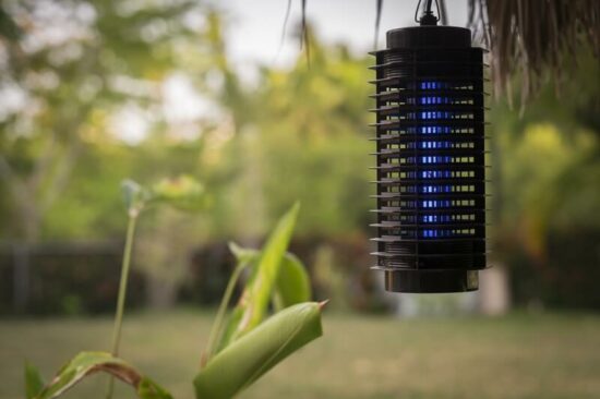 A bug zapper working during the daytime