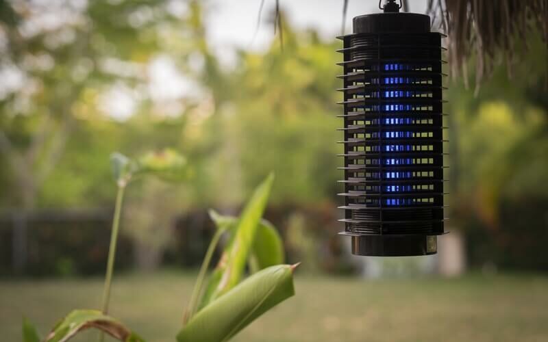 A bug zapper working during the daytime