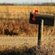 A mailbox with ants inside