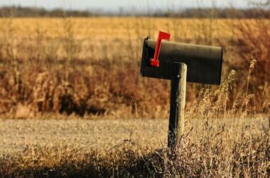 A mailbox with ants inside