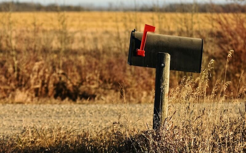 A mailbox with ants inside