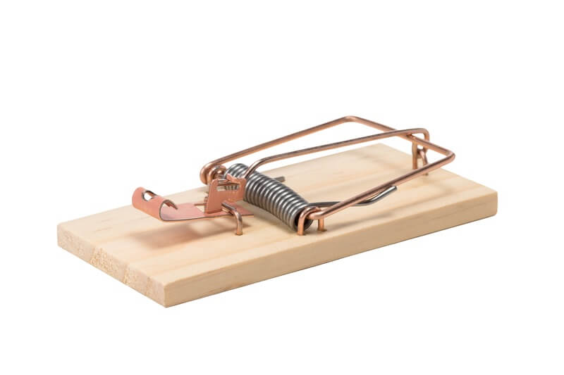 Can A Mouse Trap Break Your Finger Or Cause Injuries?