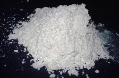 How to use diatomaceous earth for bed bugs