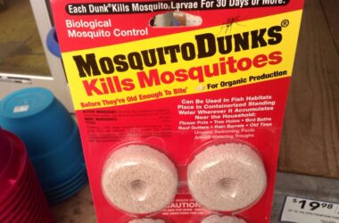 Mosquito dunks