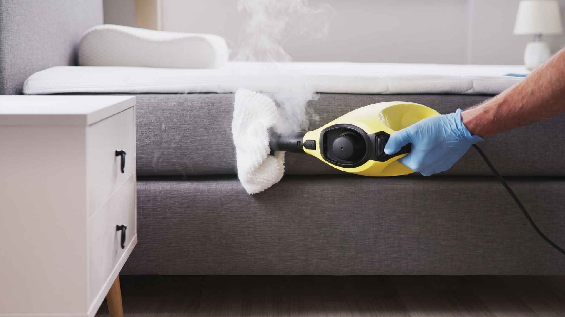 How to Use a Steamer for Bed Bugs