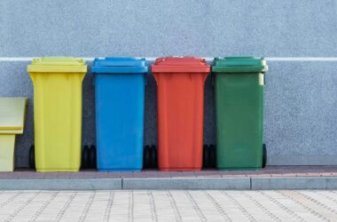 Bin rental featured