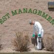 Pest control cost