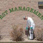 Pest control cost
