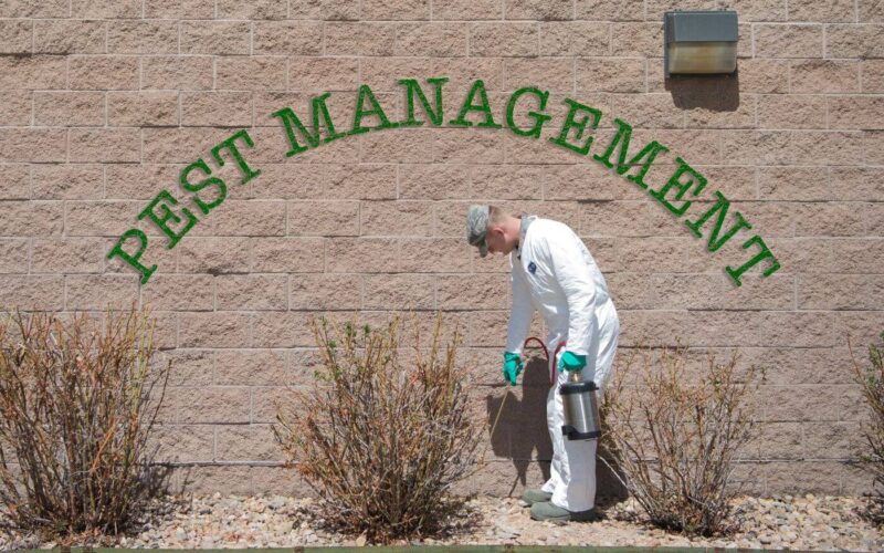 Pest control cost