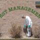 Pest control cost