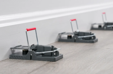 Showing where to place mouse traps for best results