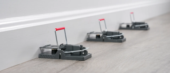 Showing where to place mouse traps for best results