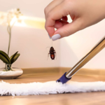 Why Some Homes Get Pests and Others Don’t: The Real Reasons