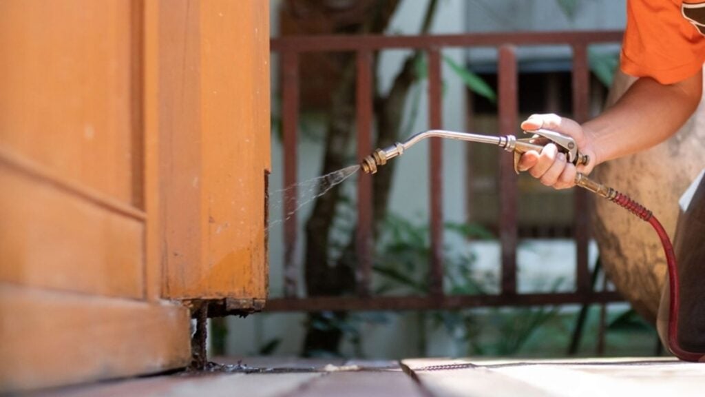 How to Prevent Termites From Entering Your Home