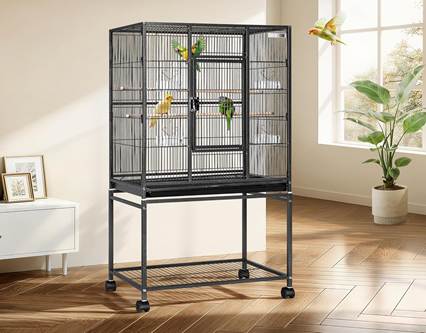 5 Best Cockatiel Cages 2026: Reviews & Top Picks (Safe + Spacious) 4 image 1 5 Best Cockatiel Cages 2026: Reviews & Top Picks (Safe + Spacious)