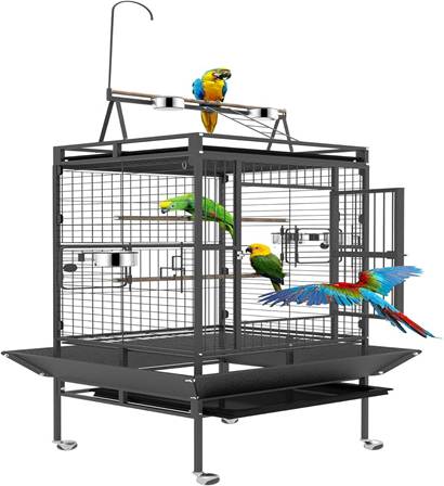 5 Best Cockatiel Cages 2026: Reviews & Top Picks (Safe + Spacious) 8 image 2 5 Best Cockatiel Cages 2026: Reviews & Top Picks (Safe + Spacious)