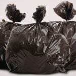 Bedbugs Live in a Trash Bag