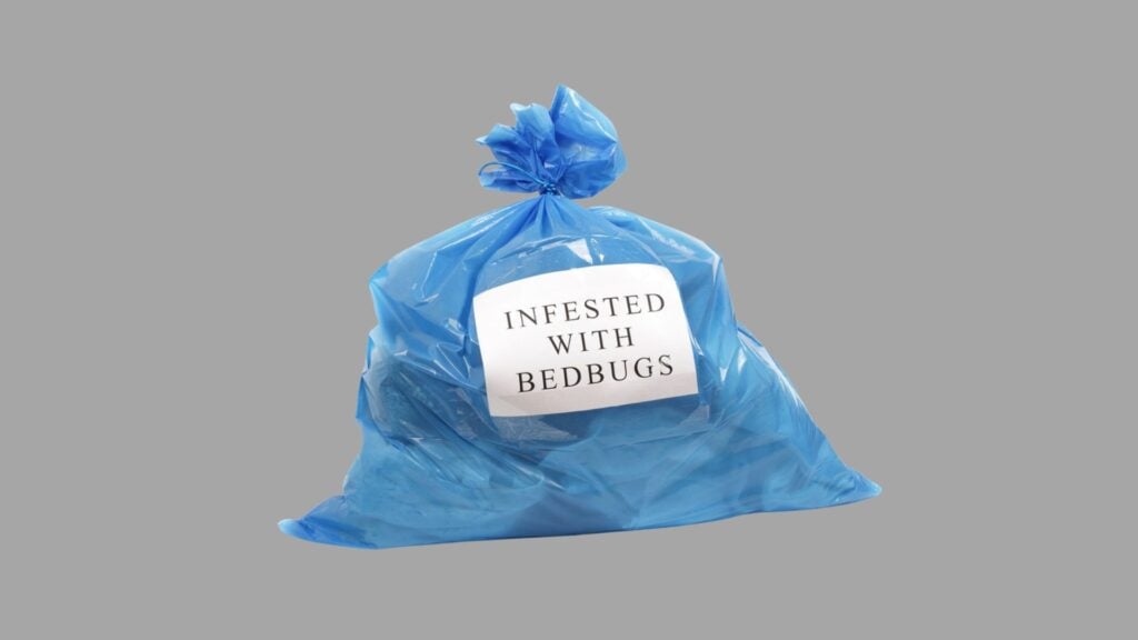 How to Properly Use Trash Bags for Bed Bug Control