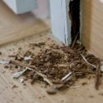 How Do You Repair Termite Damage