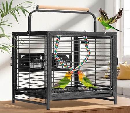5 Best Cockatiel Cages 2026: Reviews & Top Picks (Safe + Spacious) 10 image 5 Best Cockatiel Cages 2026: Reviews & Top Picks (Safe + Spacious)