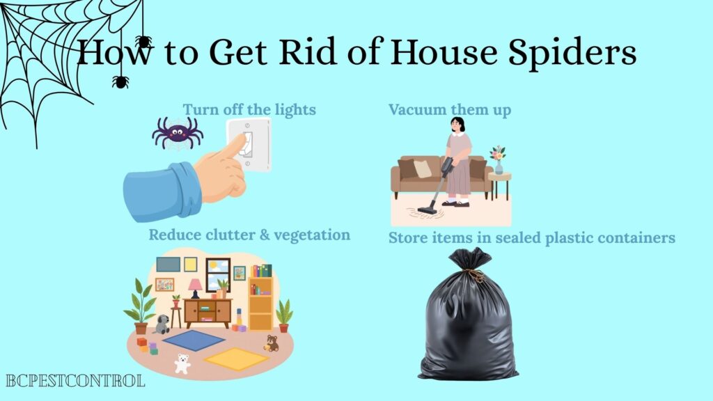 11 Most Common House Spiders: Identification, Bites and Control 13 How to Get Rid of House Spiders