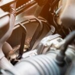 keep mice out of car engine