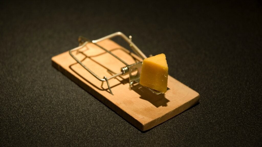 How to get rid of voles permanently 