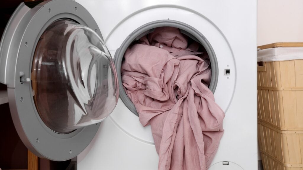 how to get rid of bed bugs in your home