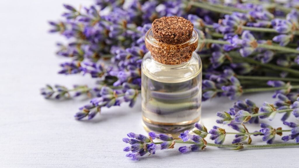 Lavender Oil