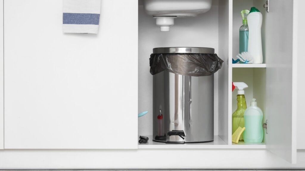 How to get rid of fruit flies in the bathroom