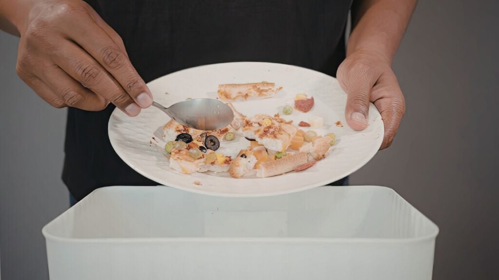 Why are there Fruit Flies in My Bathroom​