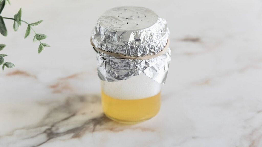 Use fruit flies DIY traps