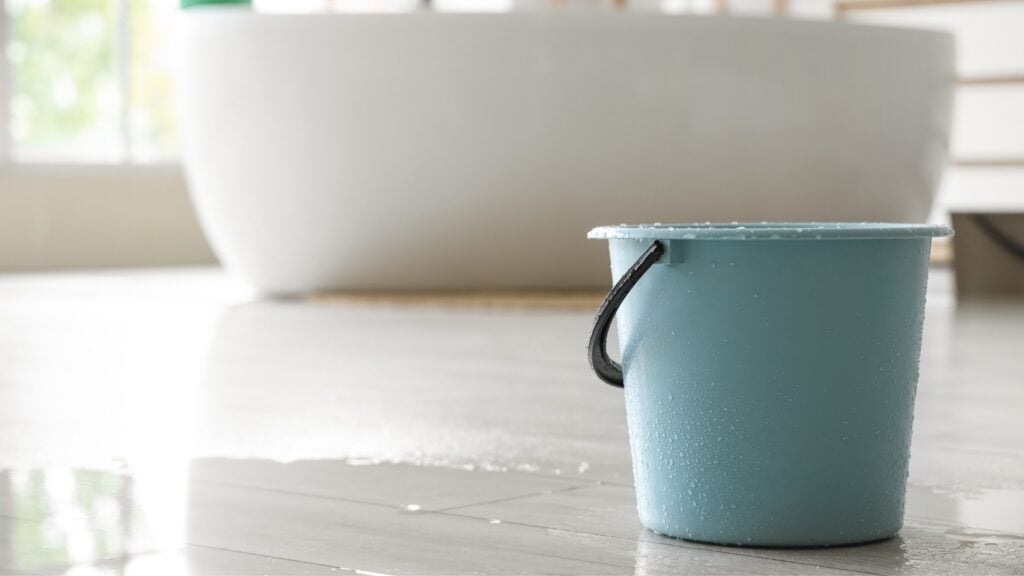 Why are there Fruit Flies in My Bathroom​